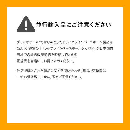 レザーウェイトボール