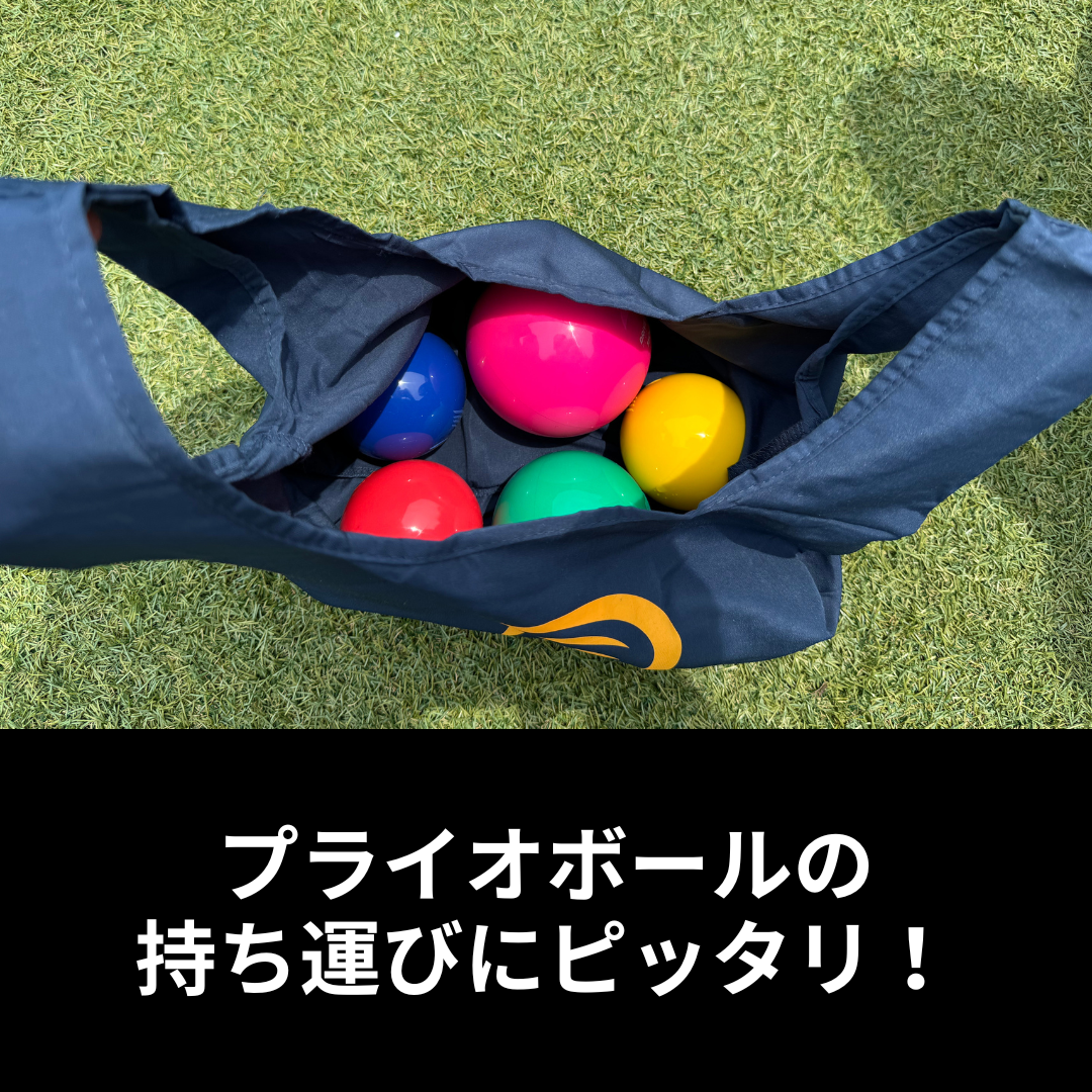 ロゴ入りミニキャリーバッグ